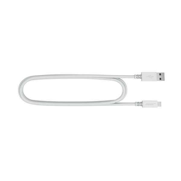 רמקול נייד Revolve+ II כסוף Bose עם סאונד באס עוצמתי